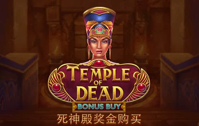 半岛手机版网页版